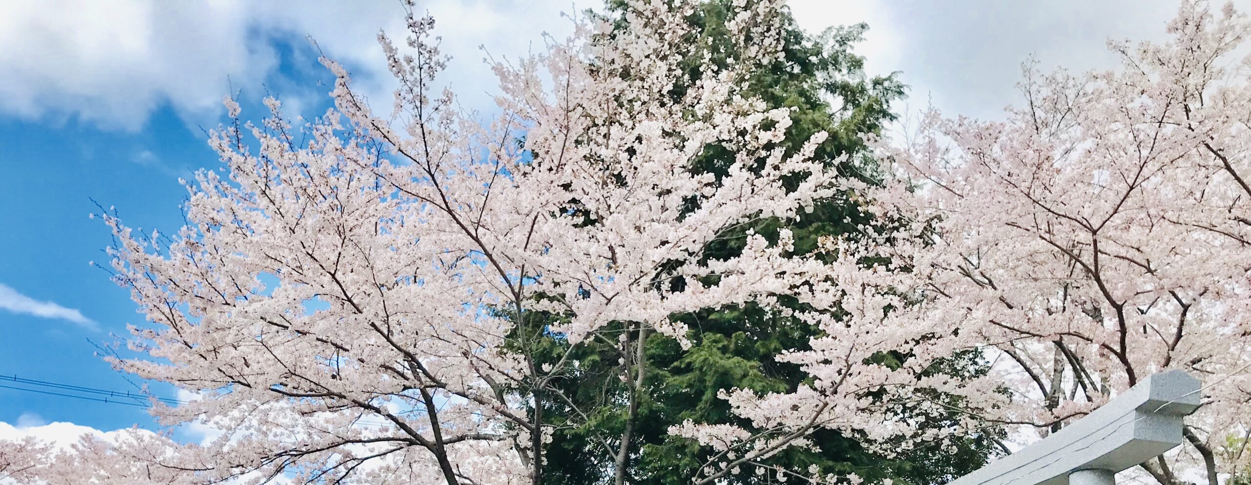 大人の3年F組｜就職したくないHSP生徒のクラス